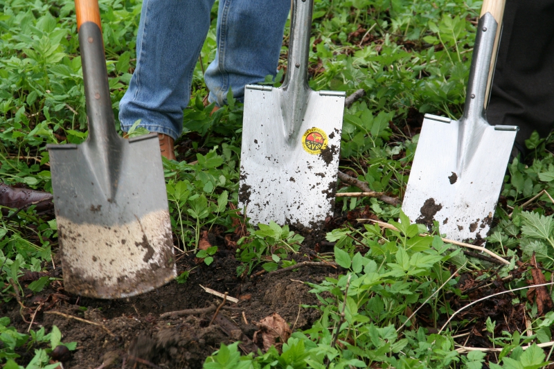 pepiniere-VIDAUBAN-min_work-lawn-flower-tool-green-backyard-1103633-pxhere.com